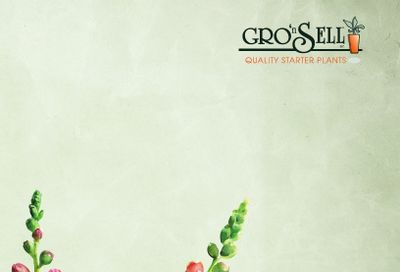 Gro'n Sell Plants Catalog Weekly Ad January 1 - December 31, 2026