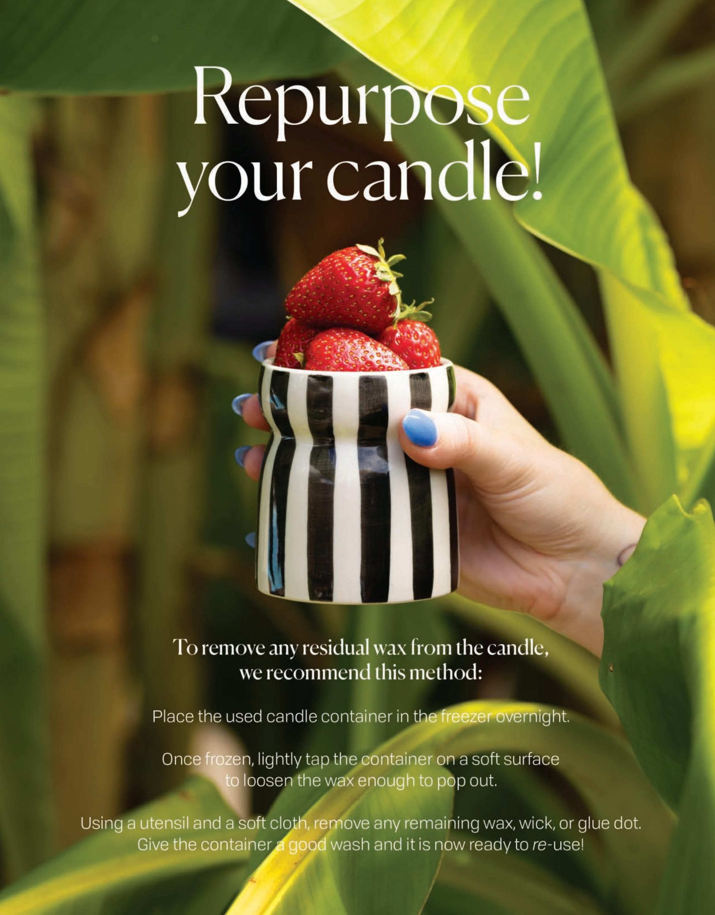 Paddywax Fall Home Fragrance Catalog Weekly Ad January 1 - December 31, 2026