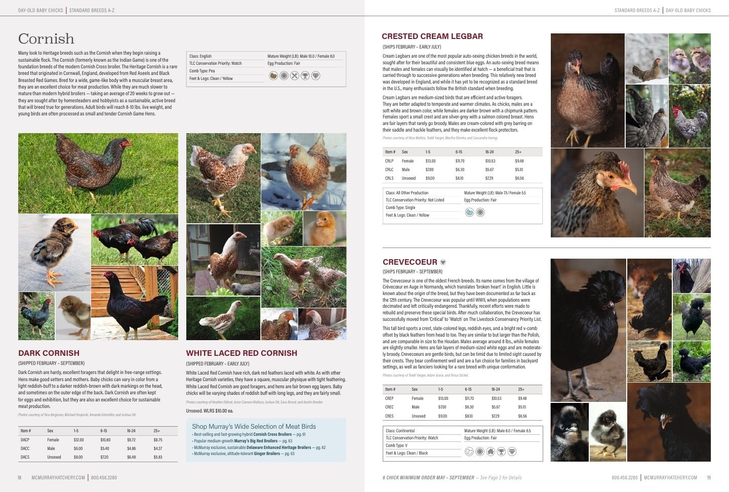 Murray McMurray Hatchery Poultry Catalog Weekly Ad January 1 - December 31, 2026