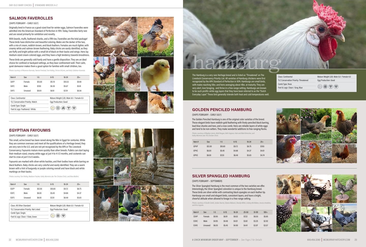 Murray McMurray Hatchery Poultry Catalog Weekly Ad January 1 - December 31, 2026