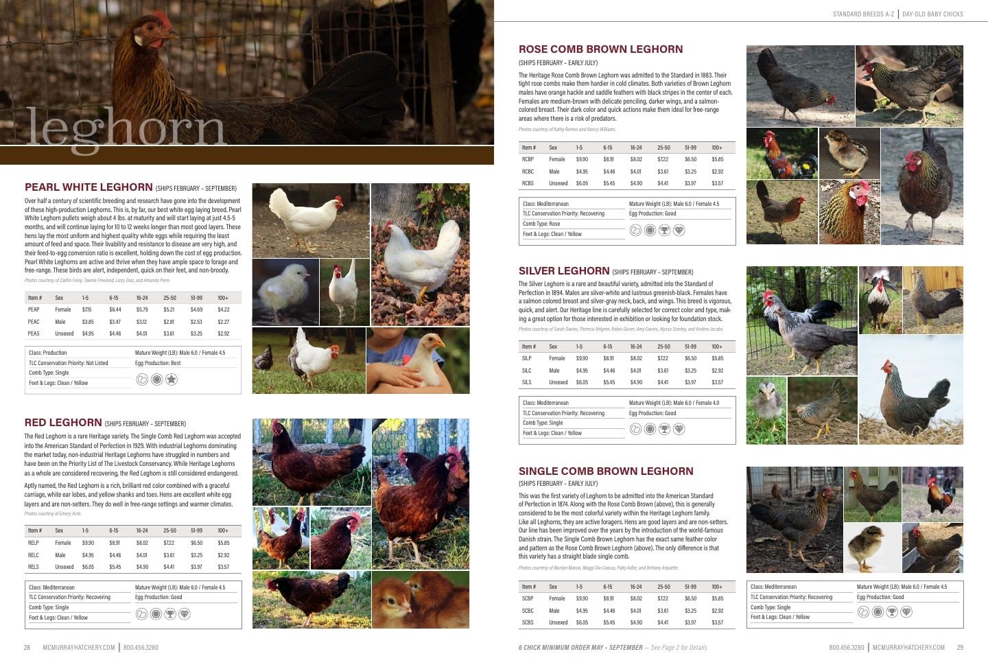 Murray McMurray Hatchery Poultry Catalog Weekly Ad January 1 - December 31, 2026
