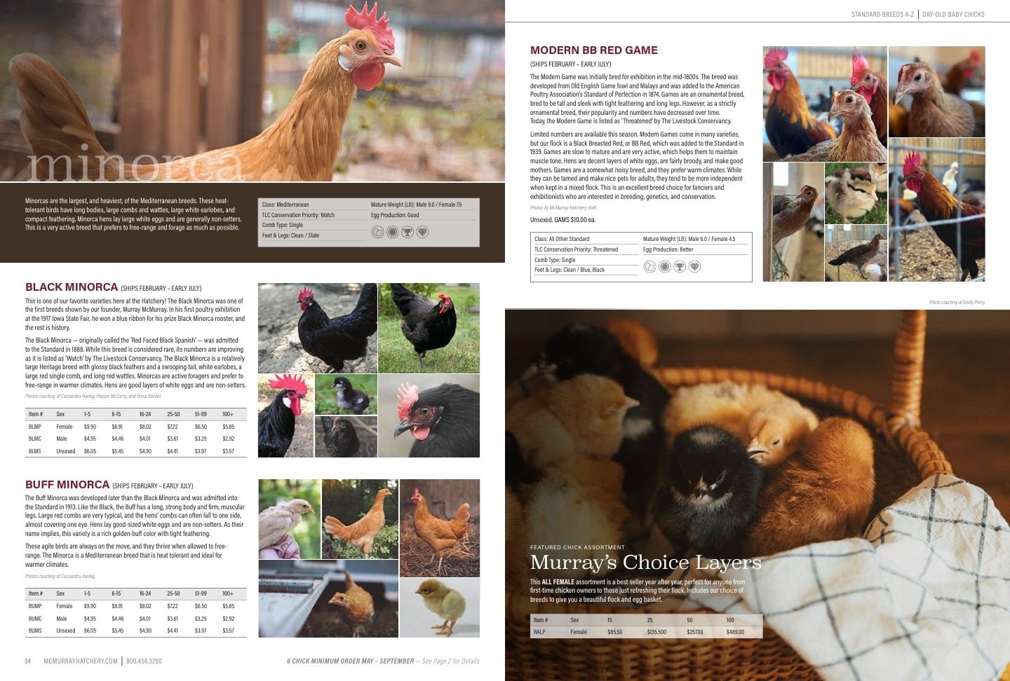 Murray McMurray Hatchery Poultry Catalog Weekly Ad January 1 - December 31, 2026