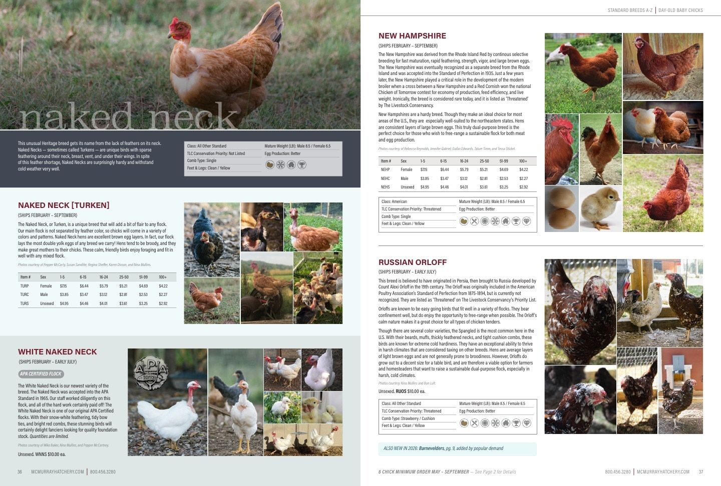 Murray McMurray Hatchery Poultry Catalog Weekly Ad January 1 - December 31, 2026