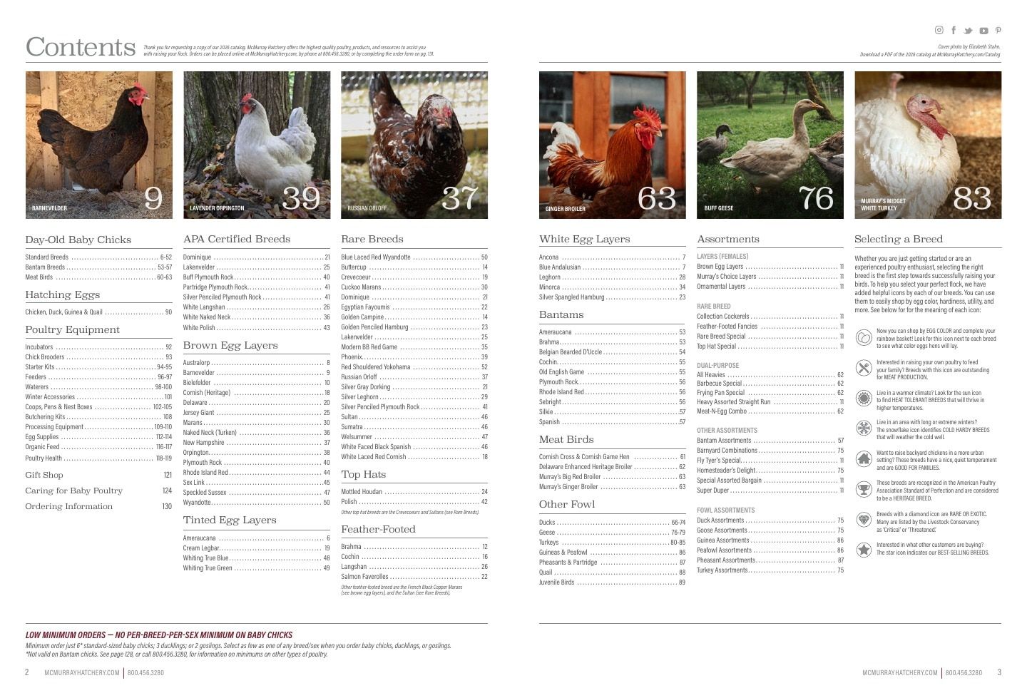 Murray McMurray Hatchery Poultry Catalog Weekly Ad January 1 - December 31, 2026