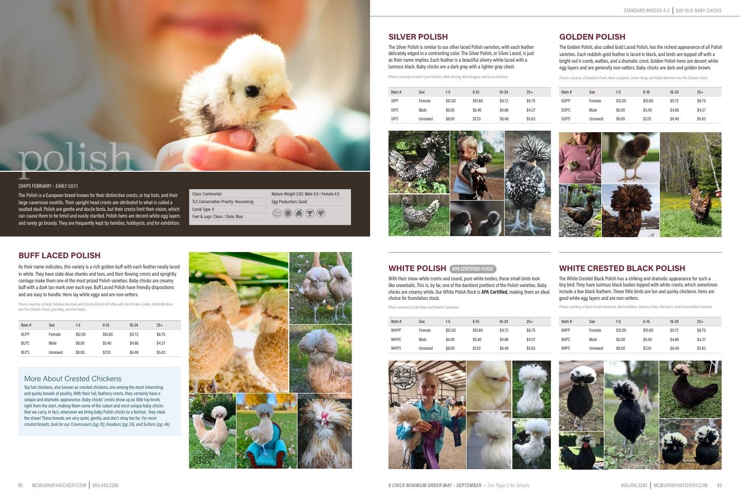 Murray McMurray Hatchery Poultry Catalog Weekly Ad January 1 - December 31, 2026