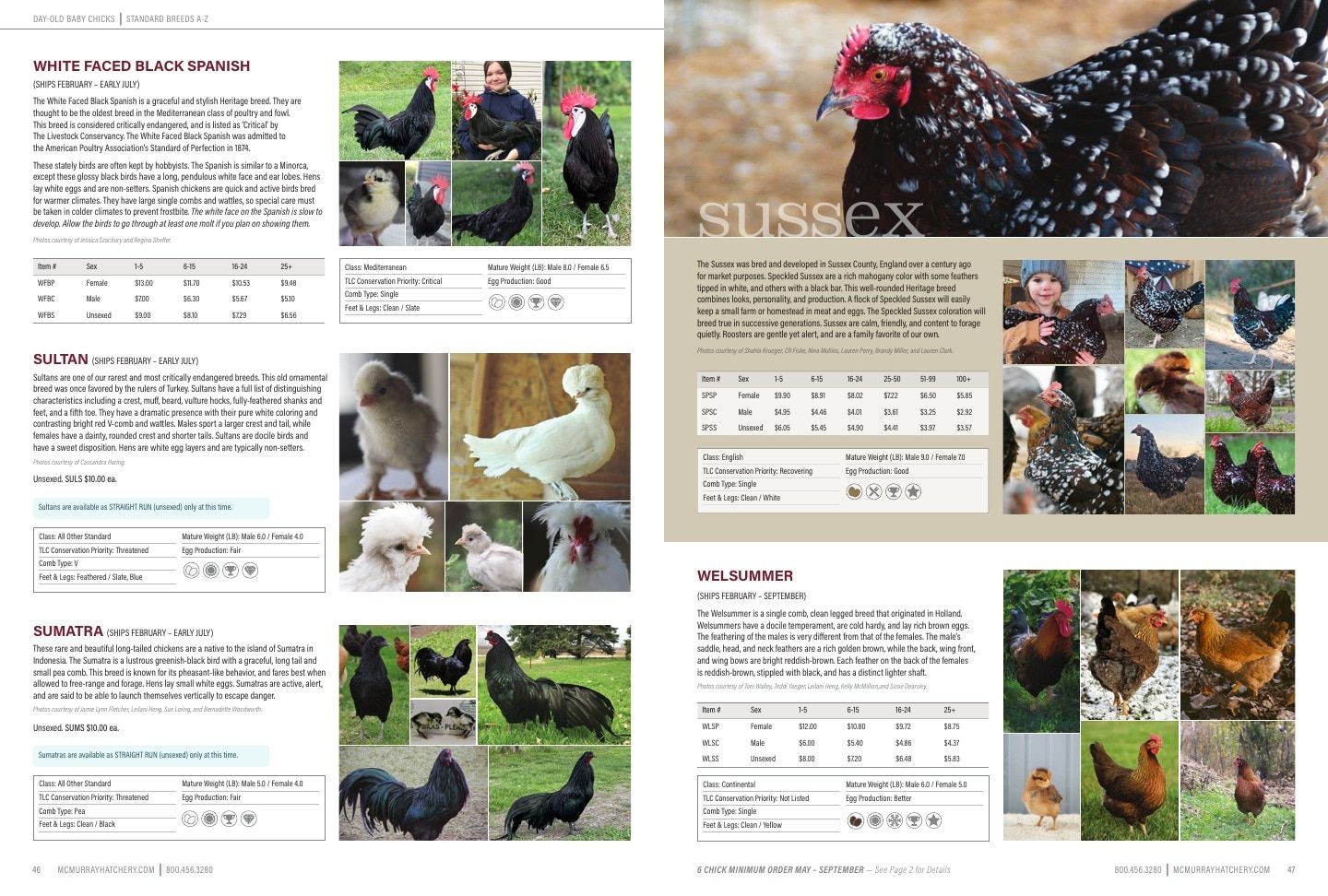 Murray McMurray Hatchery Poultry Catalog Weekly Ad January 1 - December 31, 2026