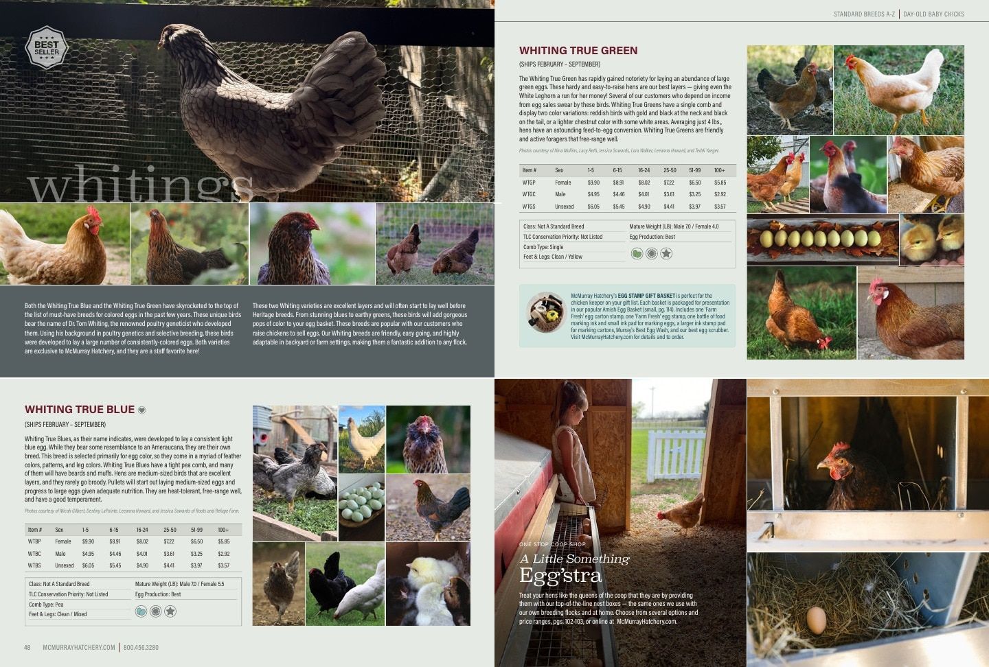 Murray McMurray Hatchery Poultry Catalog Weekly Ad January 1 - December 31, 2026
