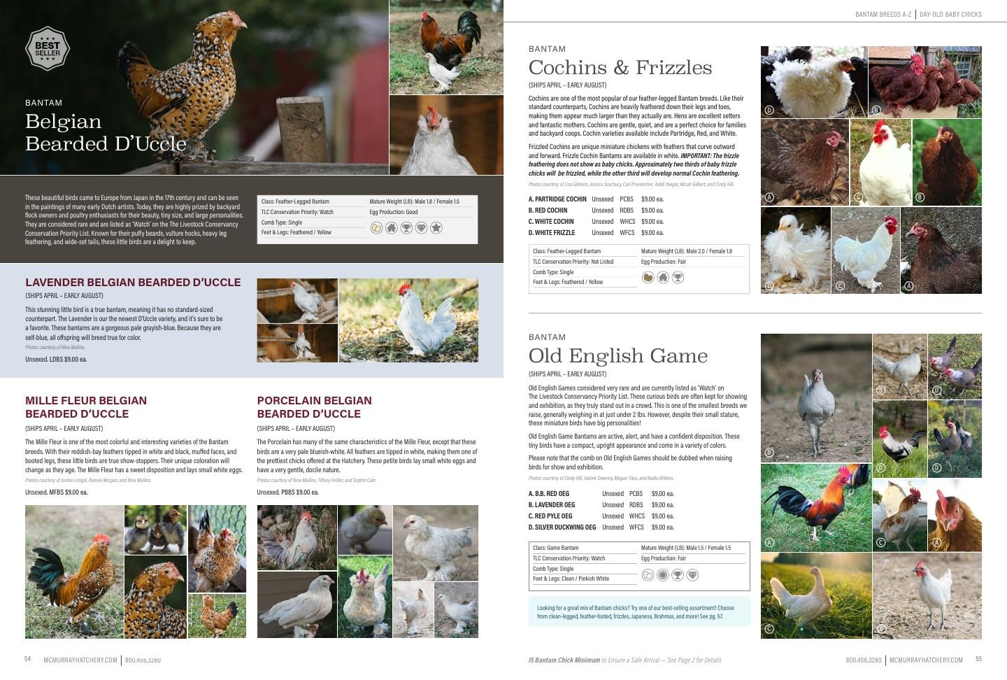 Murray McMurray Hatchery Poultry Catalog Weekly Ad January 1 - December 31, 2026