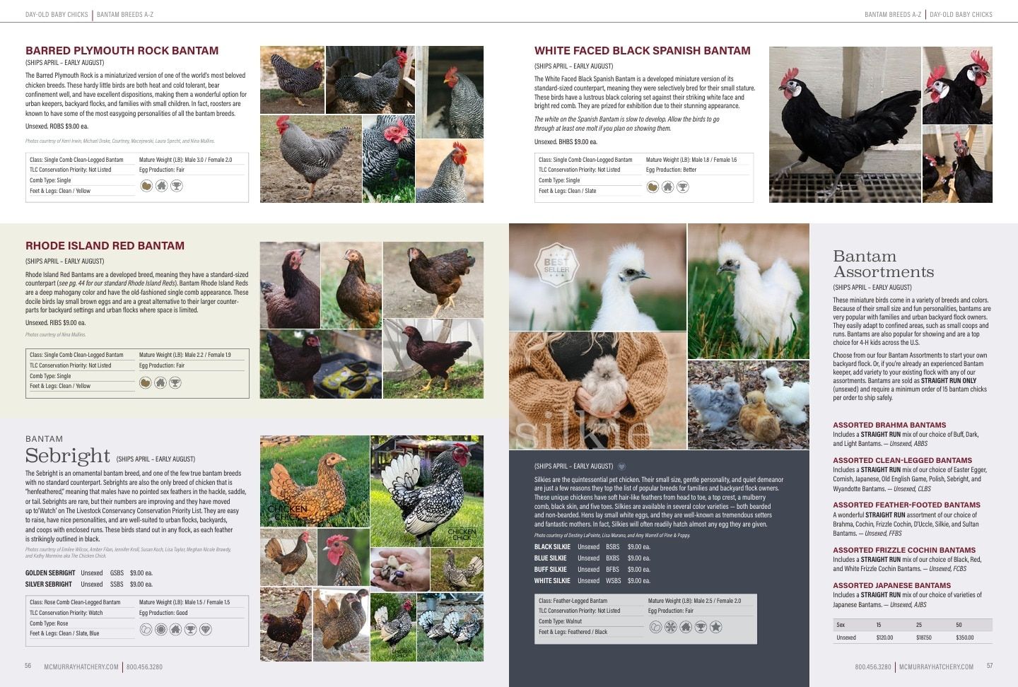 Murray McMurray Hatchery Poultry Catalog Weekly Ad January 1 - December 31, 2026