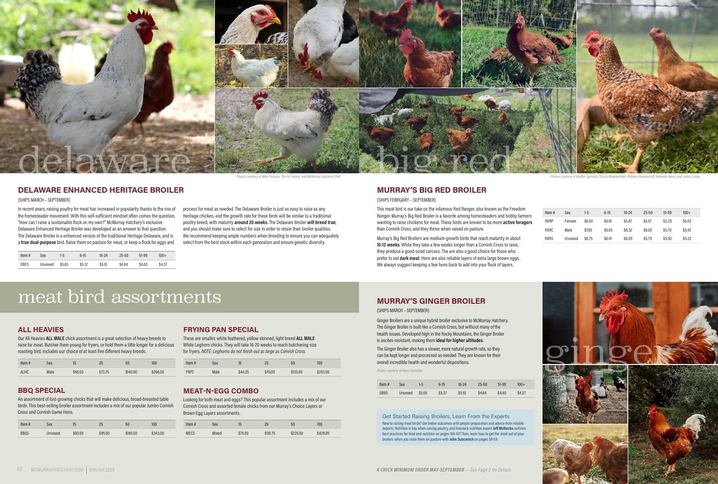 Murray McMurray Hatchery Poultry Catalog Weekly Ad January 1 - December 31, 2026