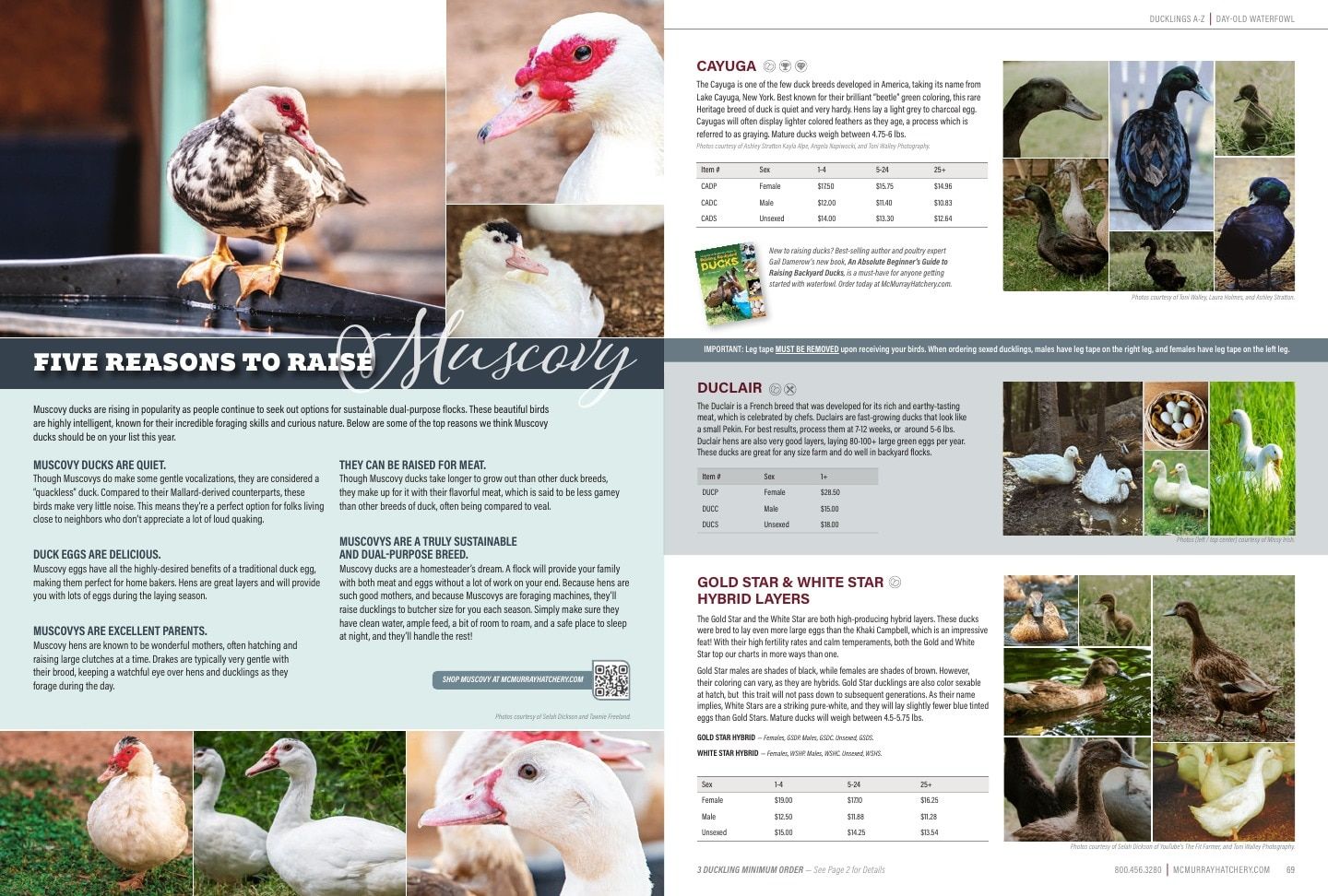 Murray McMurray Hatchery Poultry Catalog Weekly Ad January 1 - December 31, 2026