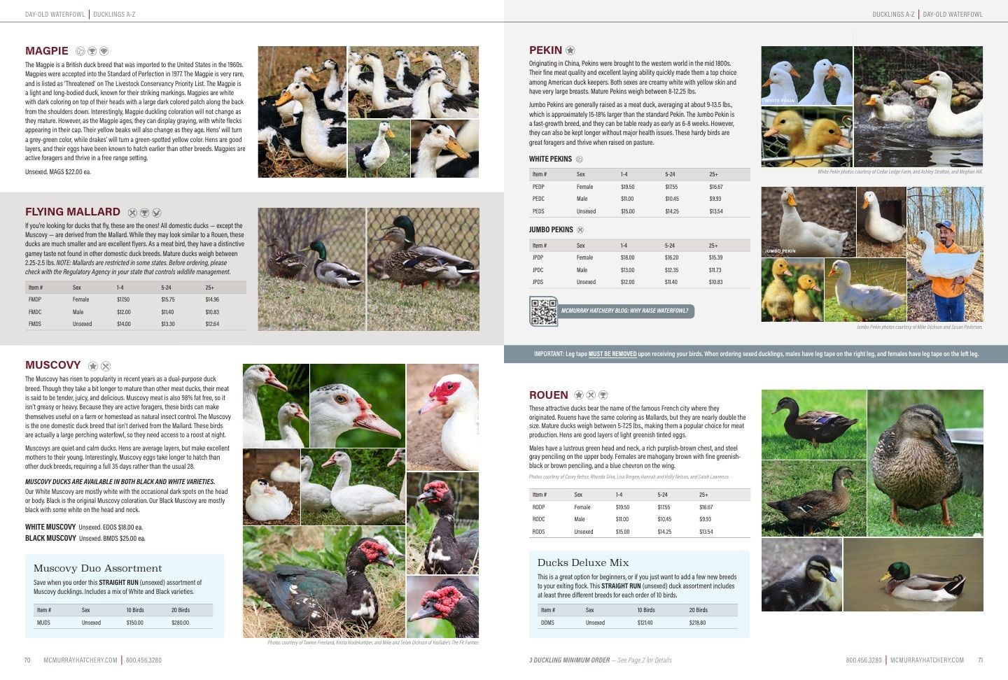 Murray McMurray Hatchery Poultry Catalog Weekly Ad January 1 - December 31, 2026