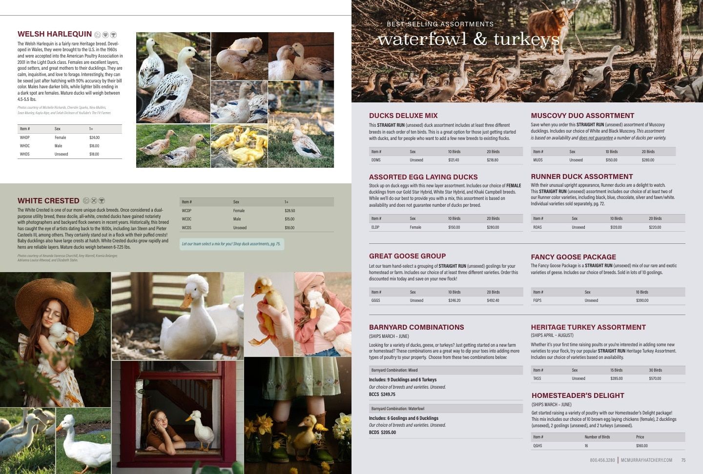 Murray McMurray Hatchery Poultry Catalog Weekly Ad January 1 - December 31, 2026