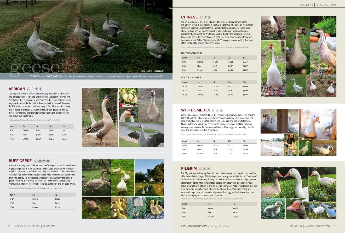 Murray McMurray Hatchery Poultry Catalog Weekly Ad January 1 - December 31, 2026