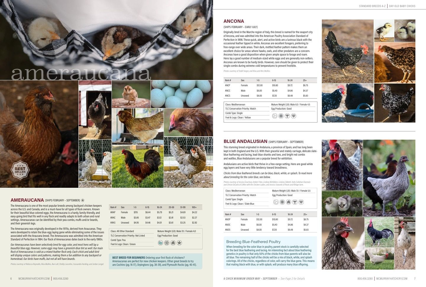 Murray McMurray Hatchery Poultry Catalog Weekly Ad January 1 - December 31, 2026