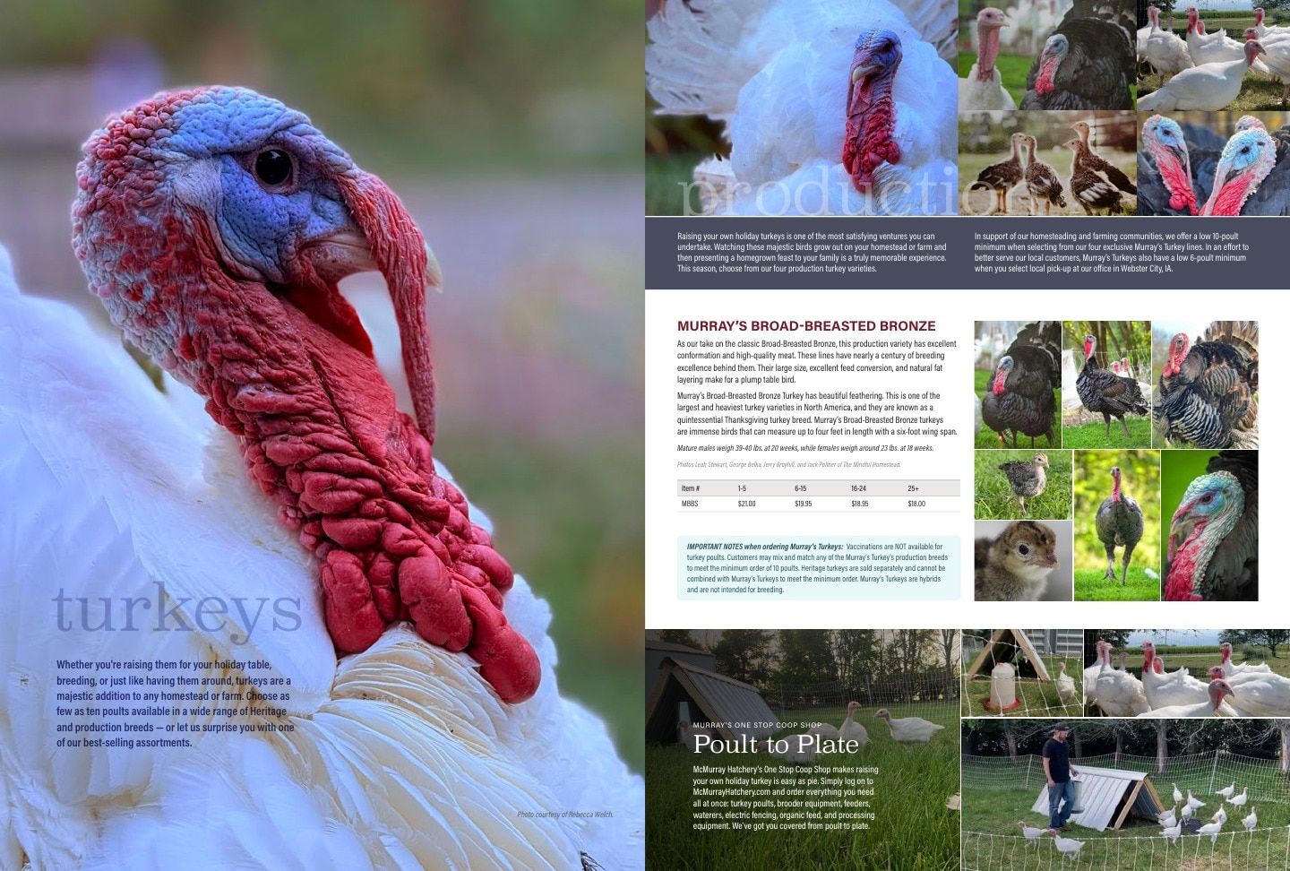 Murray McMurray Hatchery Poultry Catalog Weekly Ad January 1 - December 31, 2026