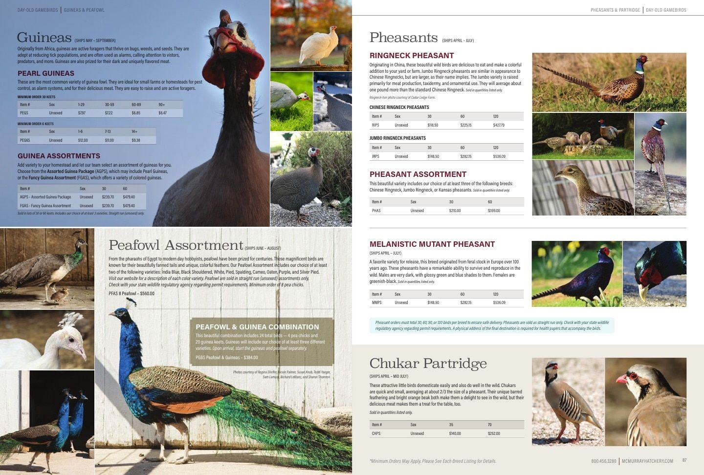 Murray McMurray Hatchery Poultry Catalog Weekly Ad January 1 - December 31, 2026