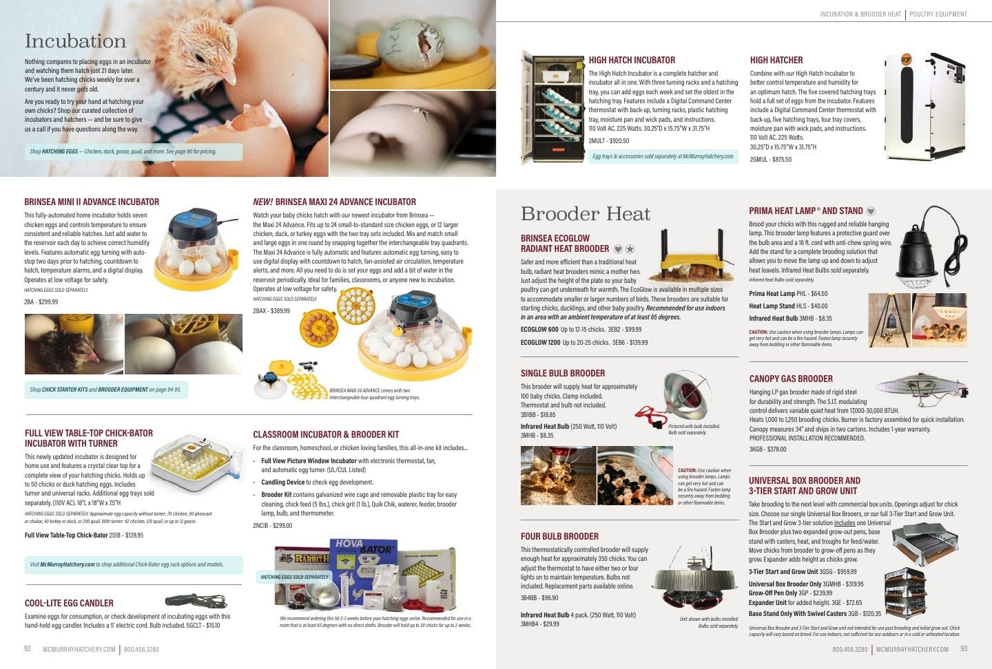 Murray McMurray Hatchery Poultry Catalog Weekly Ad January 1 - December 31, 2026