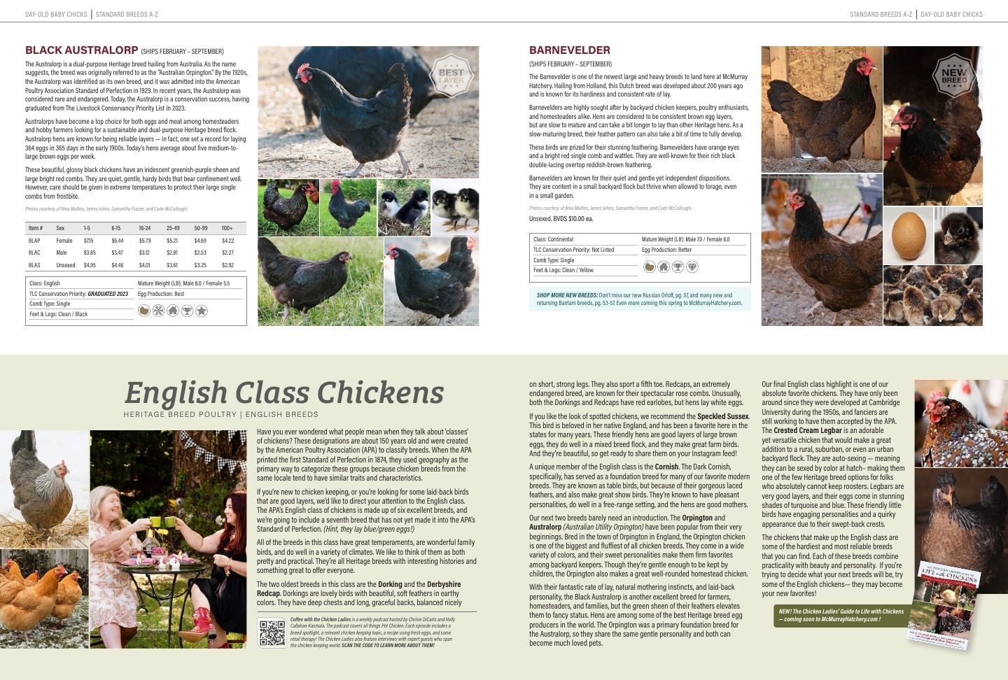 Murray McMurray Hatchery Poultry Catalog Weekly Ad January 1 - December 31, 2026