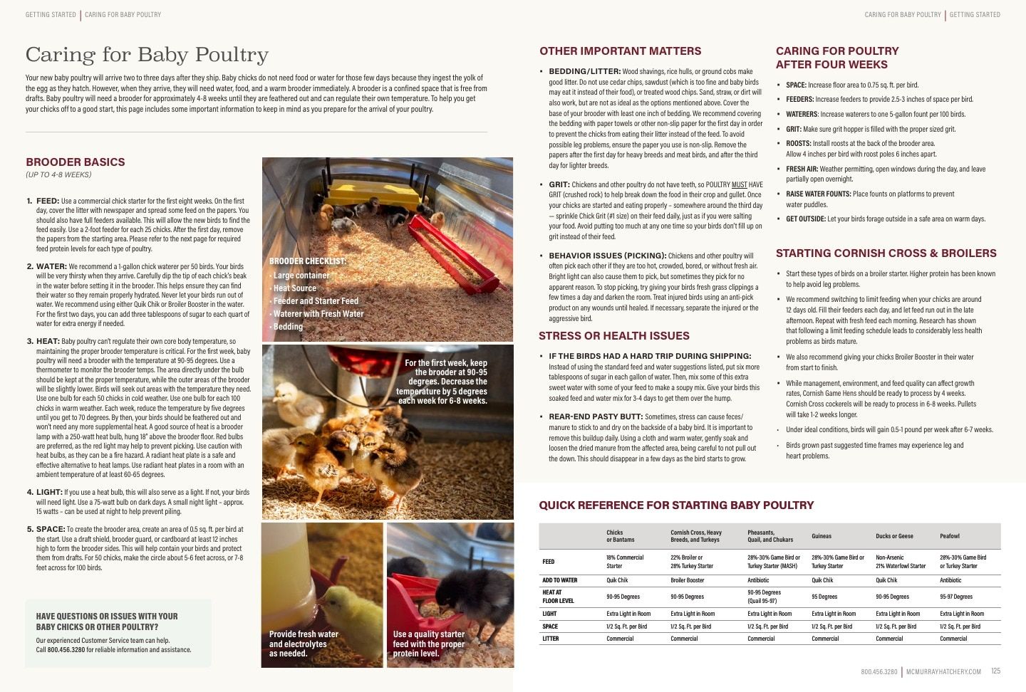 Murray McMurray Hatchery Poultry Catalog Weekly Ad January 1 - December 31, 2026