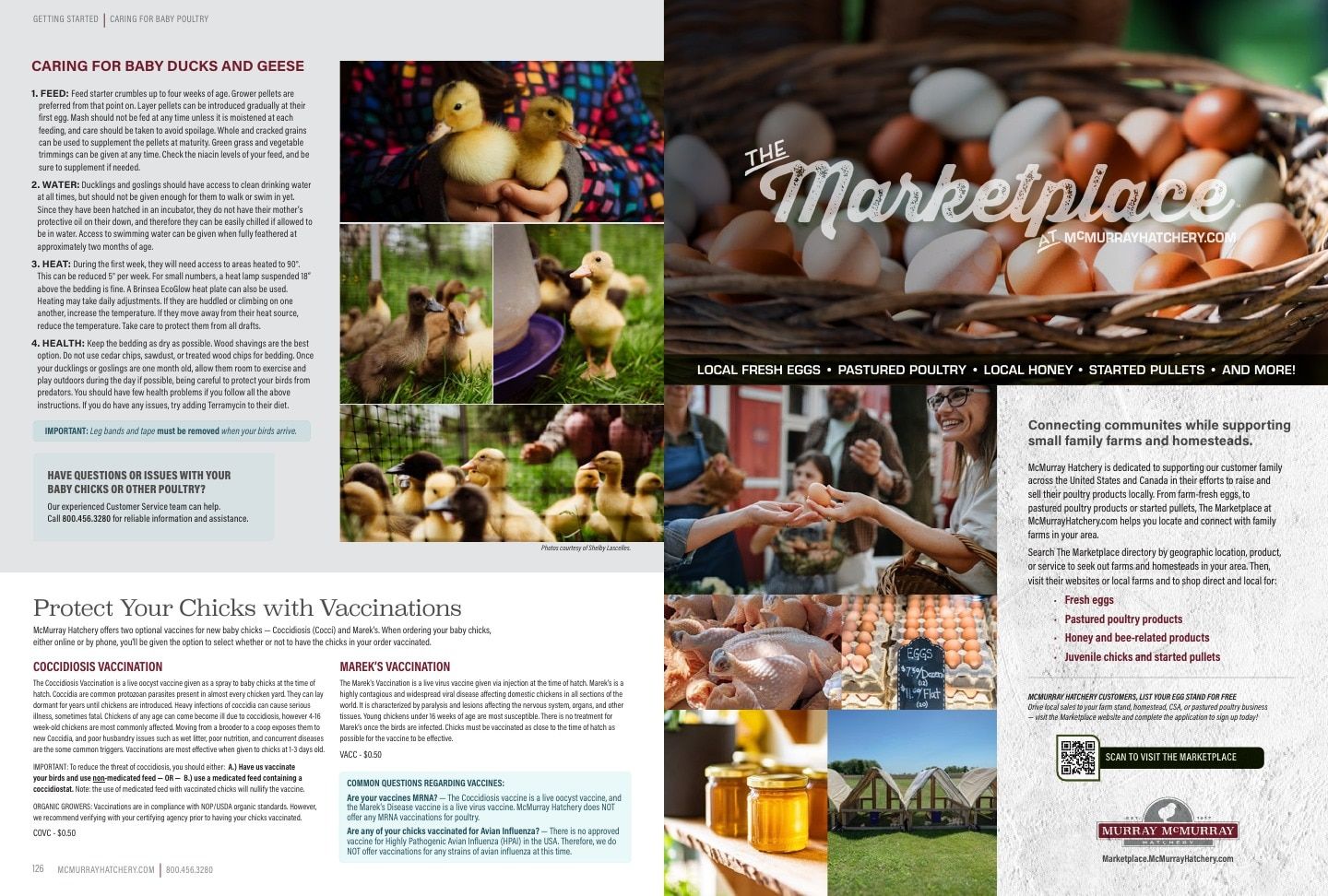 Murray McMurray Hatchery Poultry Catalog Weekly Ad January 1 - December 31, 2026