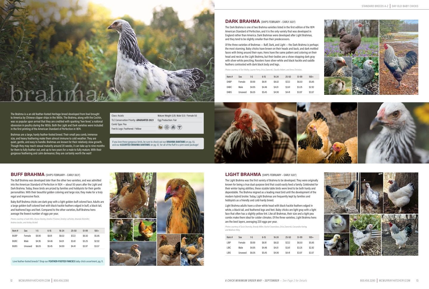 Murray McMurray Hatchery Poultry Catalog Weekly Ad January 1 - December 31, 2026