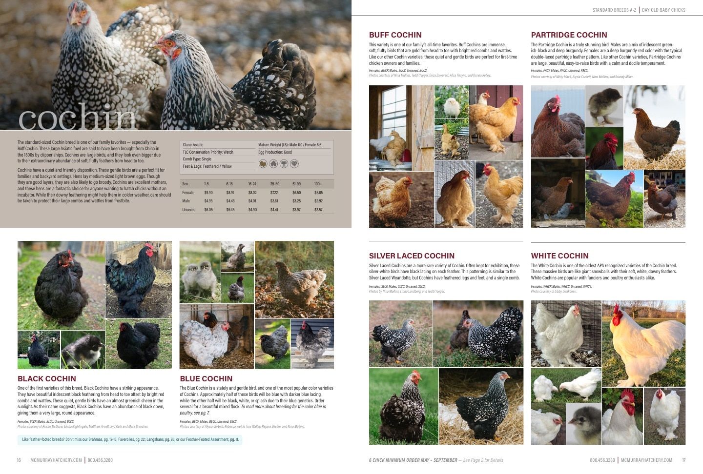 Murray McMurray Hatchery Poultry Catalog Weekly Ad January 1 - December 31, 2026