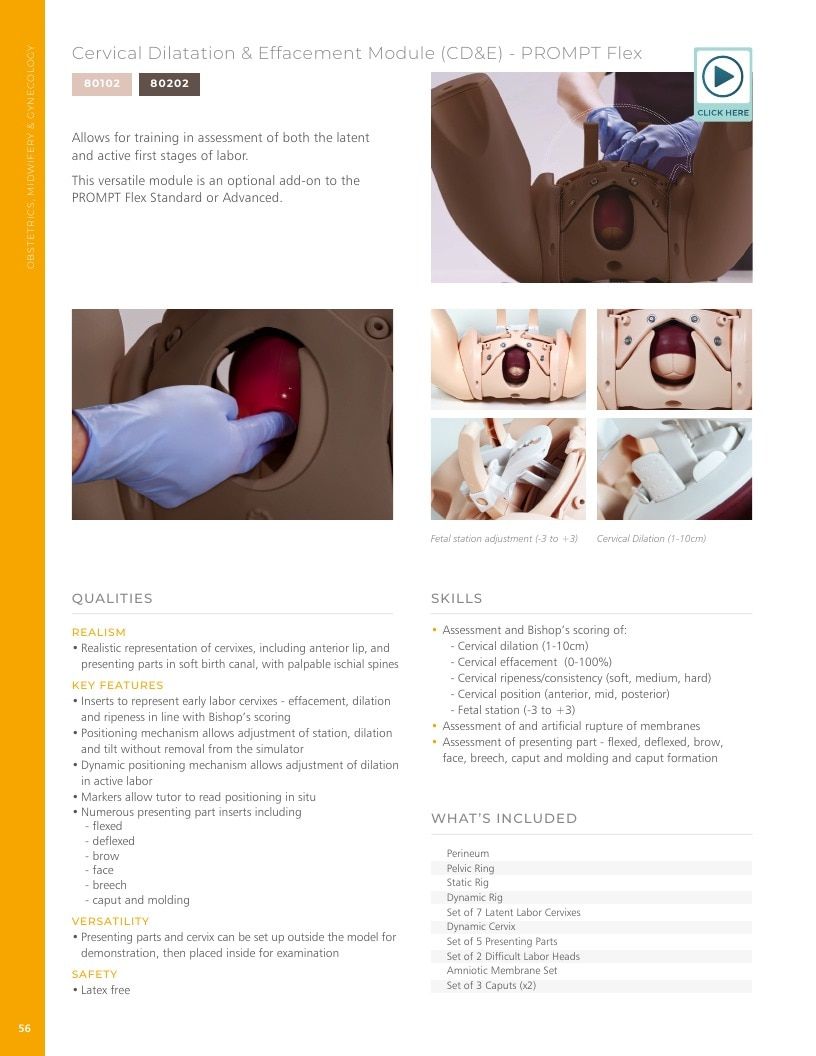 Limbs & Things USA Medical Simulation Catalog Weekly Ad January 1 - December 31, 2026