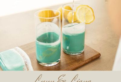Lynn & Liana Designs Summer and Fall Serveware Catalog Weekly Ad January 1 - December 31, 2026