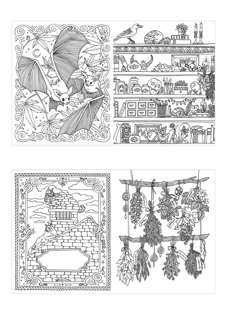 Quadrille Publishing Fall Book Catalog Weekly Ad January 1 - December 31, 2026