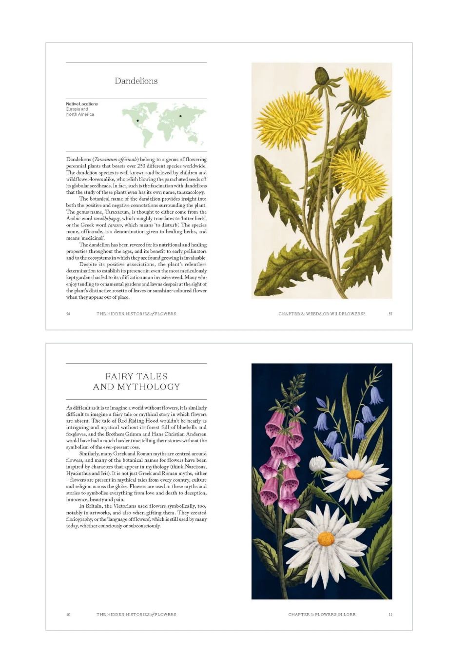 Quadrille Publishing Fall Book Catalog Weekly Ad January 1 - December 31, 2026