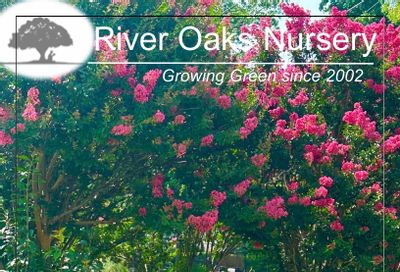 River Oaks Nursery Nursery Catalog Weekly Ad January 1 - December 31, 2026