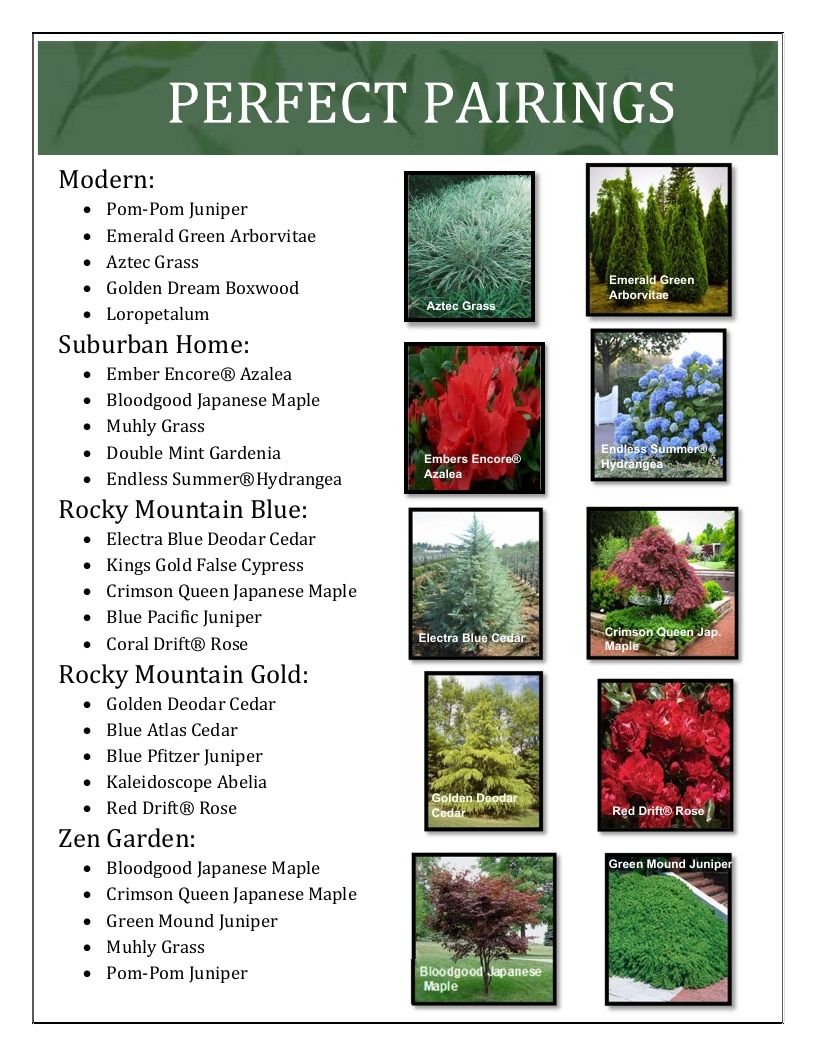 River Oaks Nursery Nursery Catalog Weekly Ad January 1 - December 31, 2026