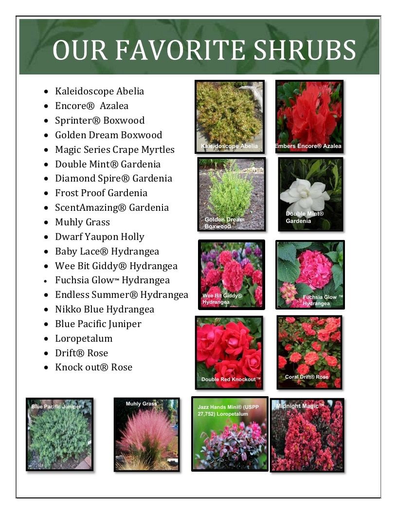 River Oaks Nursery Nursery Catalog Weekly Ad January 1 - December 31, 2026