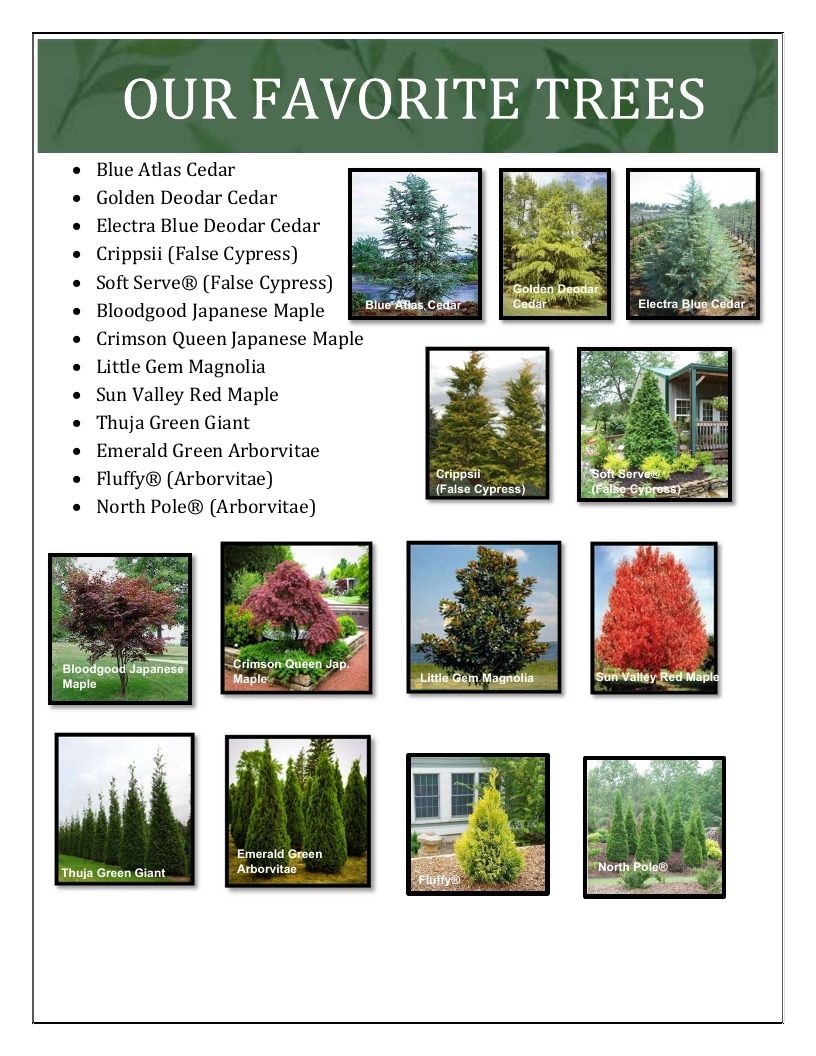 River Oaks Nursery Nursery Catalog Weekly Ad January 1 - December 31, 2026