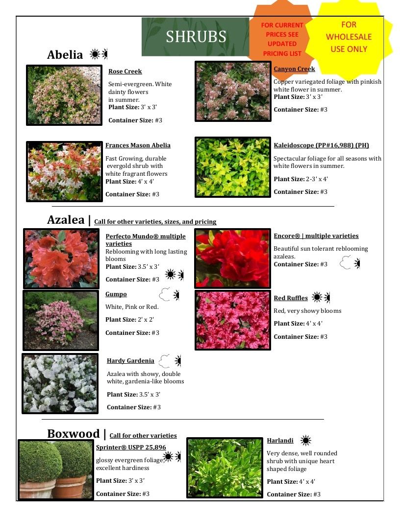 River Oaks Nursery Nursery Catalog Weekly Ad January 1 - December 31, 2026