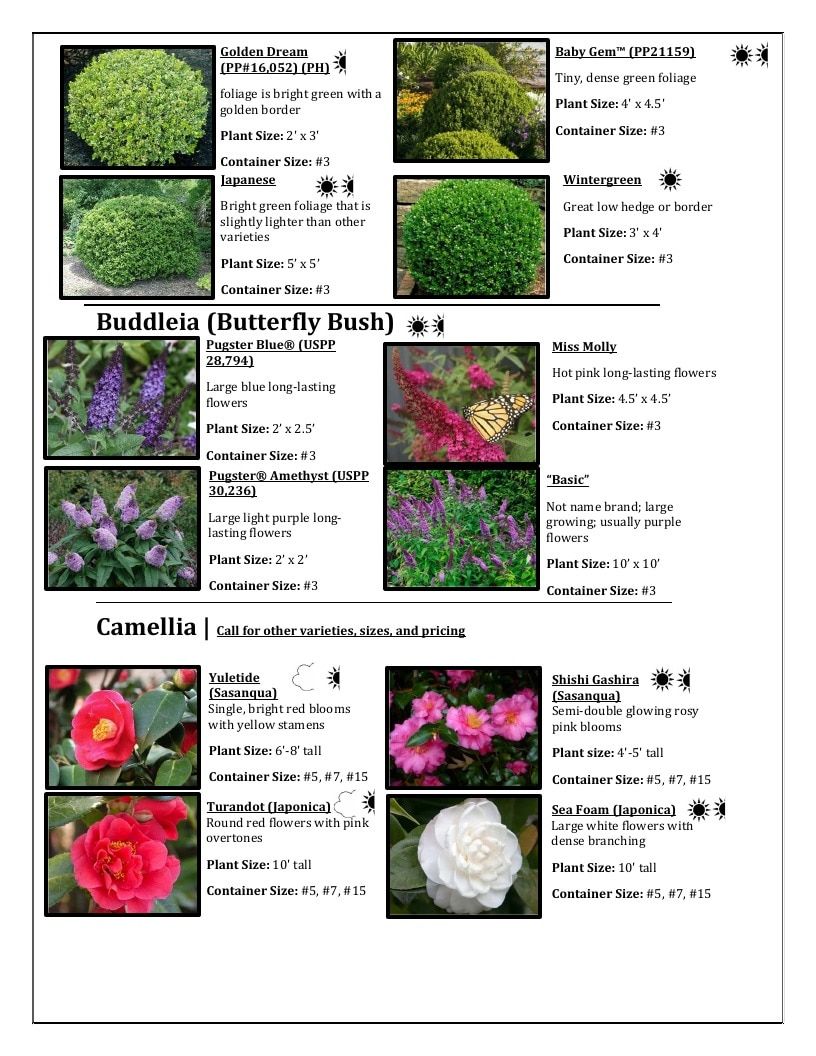 River Oaks Nursery Nursery Catalog Weekly Ad January 1 - December 31, 2026