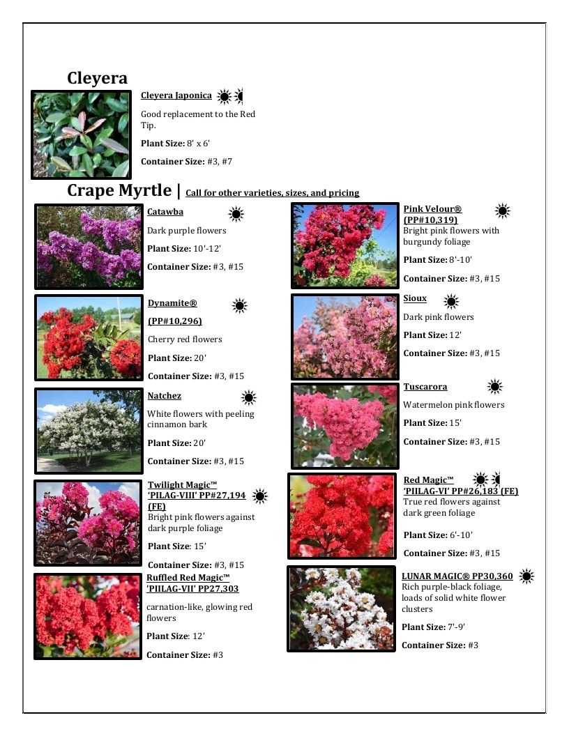 River Oaks Nursery Nursery Catalog Weekly Ad January 1 - December 31, 2026