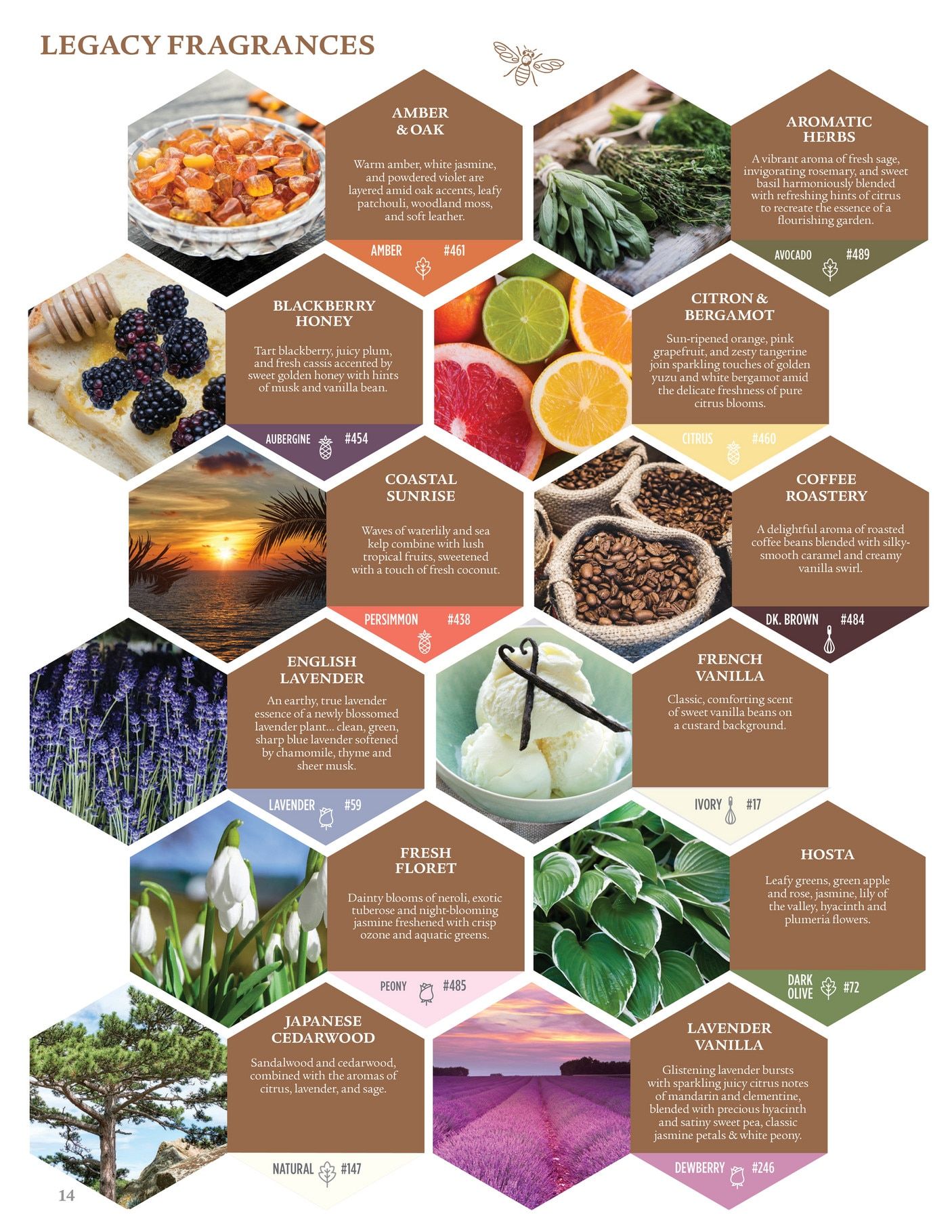 Root Candles Spring and Summer Product Catalog Weekly Ad January 1 - December 31, 2026