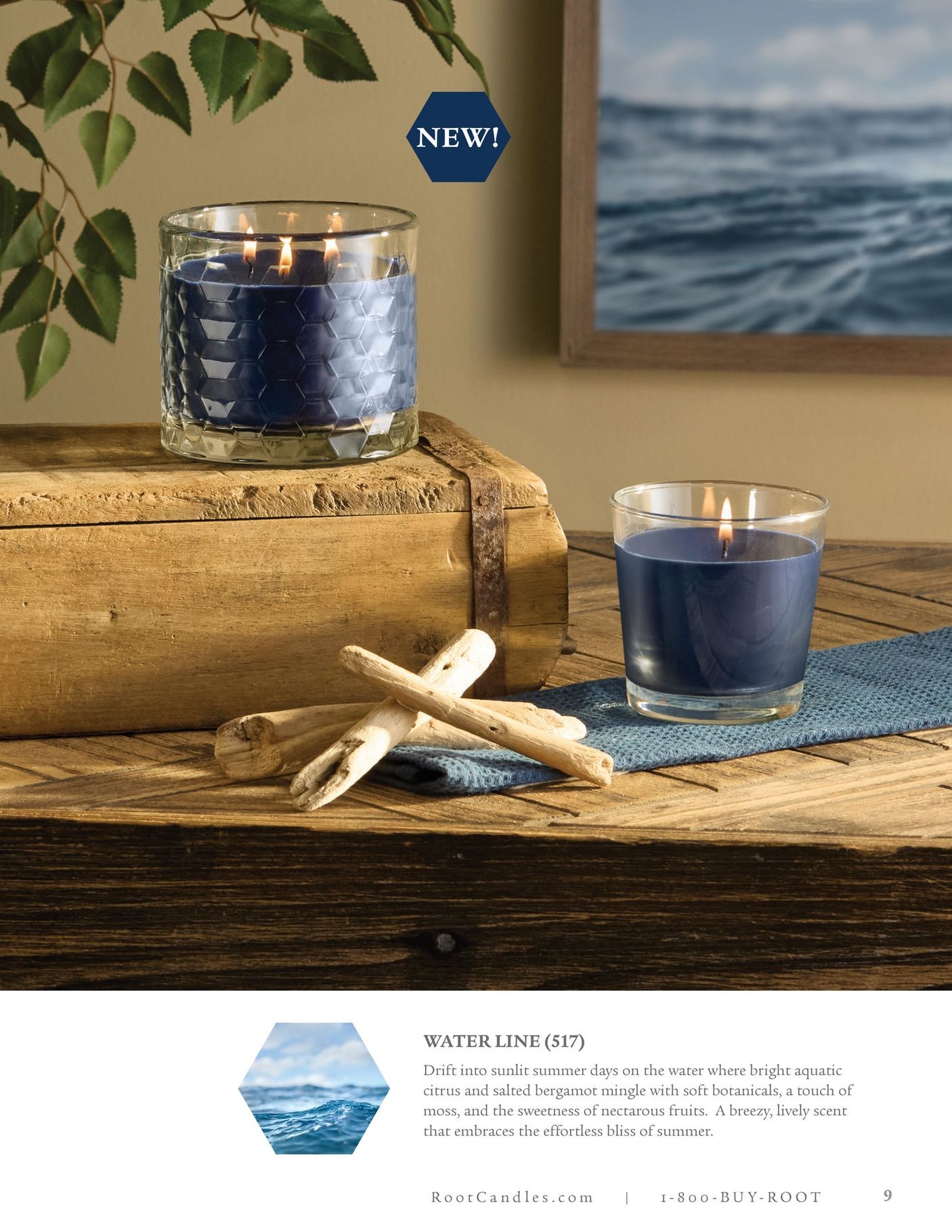 Root Candles Spring and Summer Product Catalog Weekly Ad January 1 - December 31, 2026