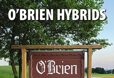 O'Brien Hybrids Seed Product Guide Weekly Ad January 1 - December 31, 2026