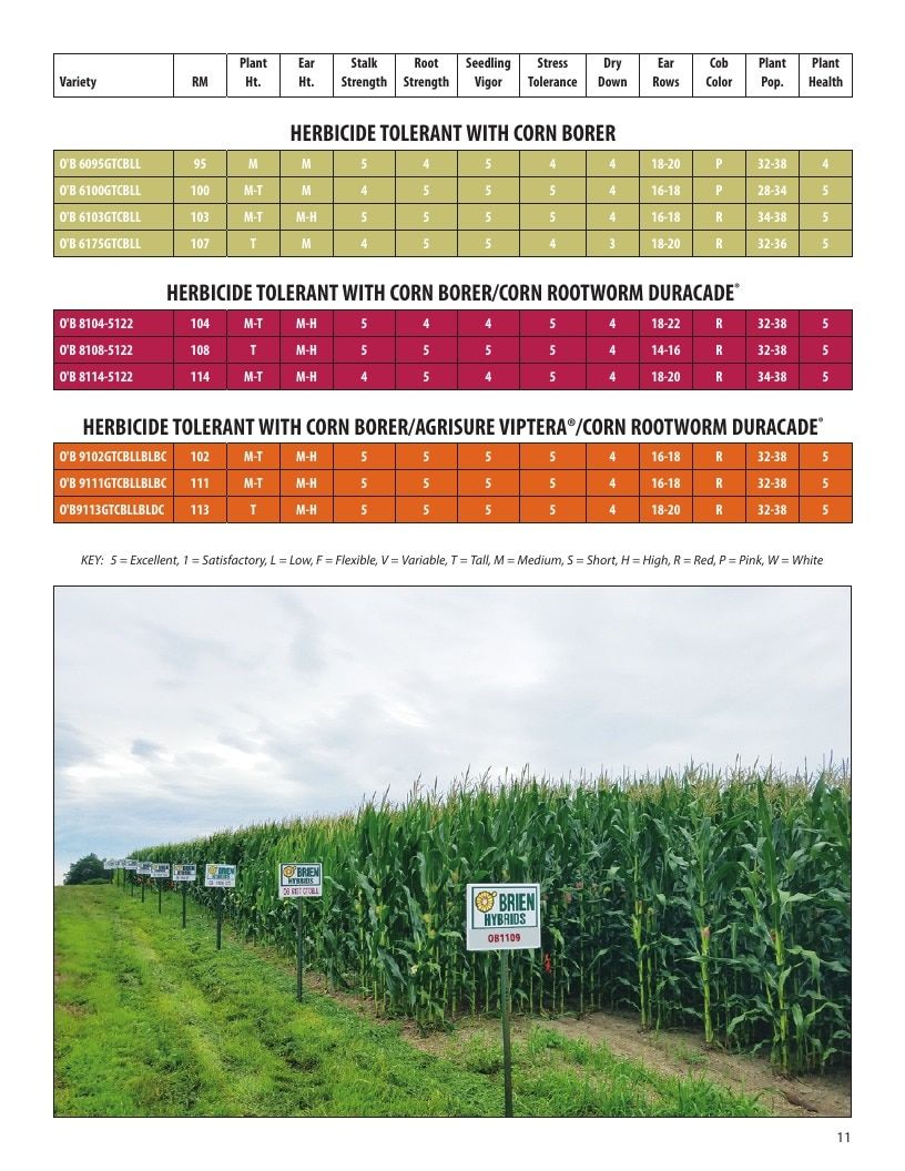 O'Brien Hybrids Seed Product Guide Weekly Ad January 1 - December 31, 2026
