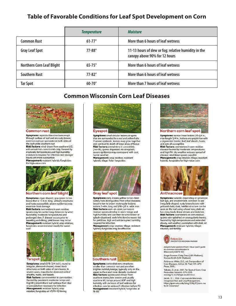 O'Brien Hybrids Seed Product Guide Weekly Ad January 1 - December 31, 2026