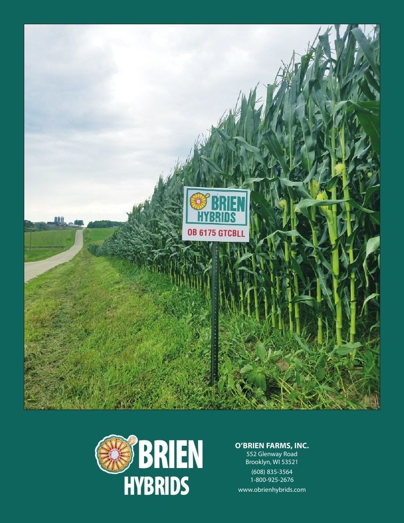 O'Brien Hybrids Seed Product Guide Weekly Ad January 1 - December 31, 2026