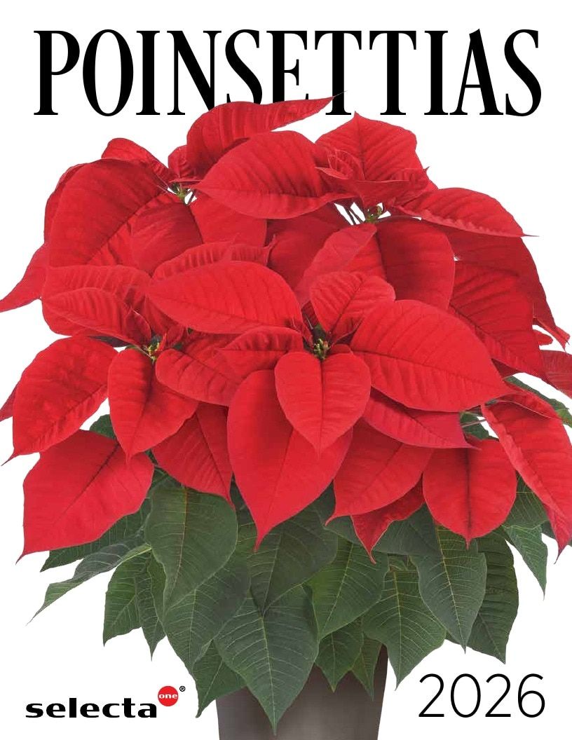 Selecta North America Poinsettia Catalog Weekly Ad January 1 - December 31, 2026