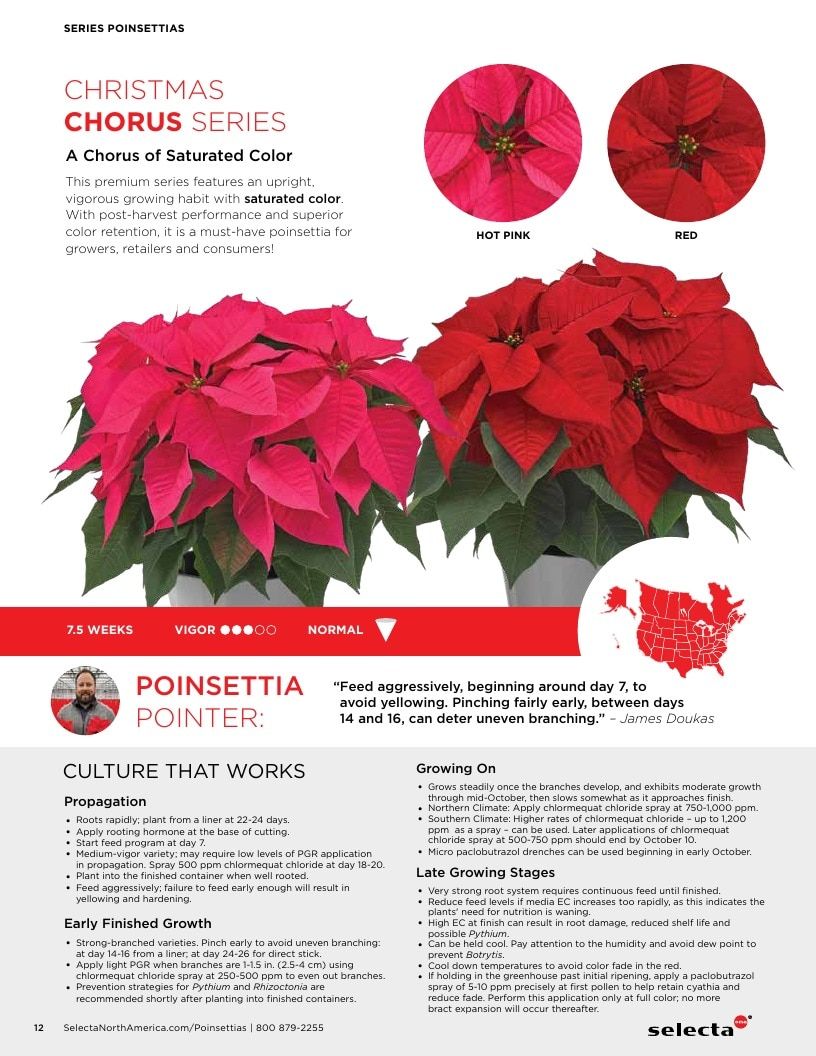 Selecta North America Poinsettia Catalog Weekly Ad January 1 - December 31, 2026