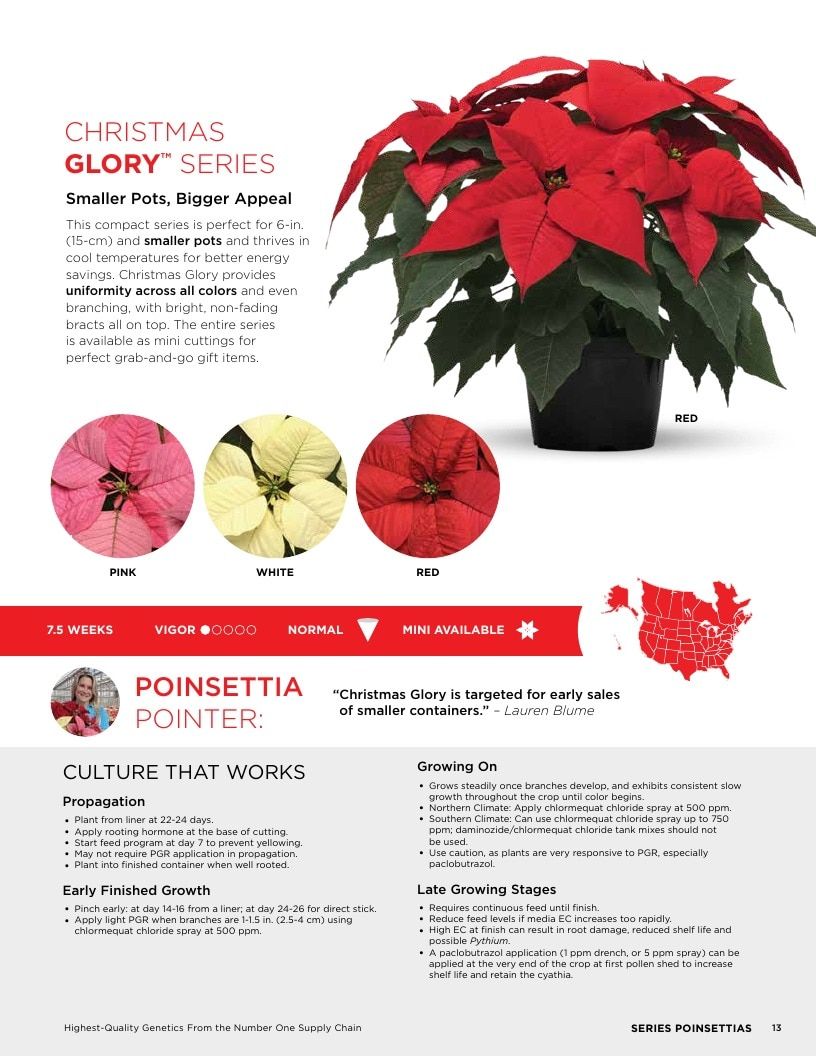 Selecta North America Poinsettia Catalog Weekly Ad January 1 - December 31, 2026