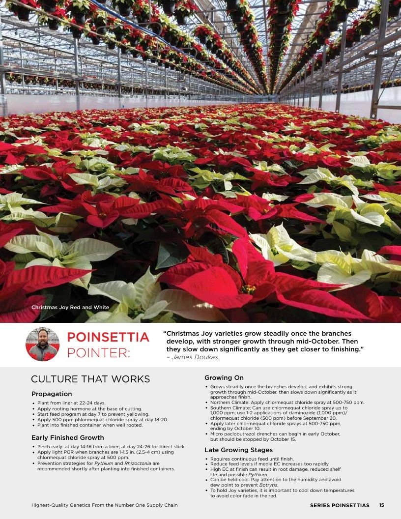 Selecta North America Poinsettia Catalog Weekly Ad January 1 - December 31, 2026