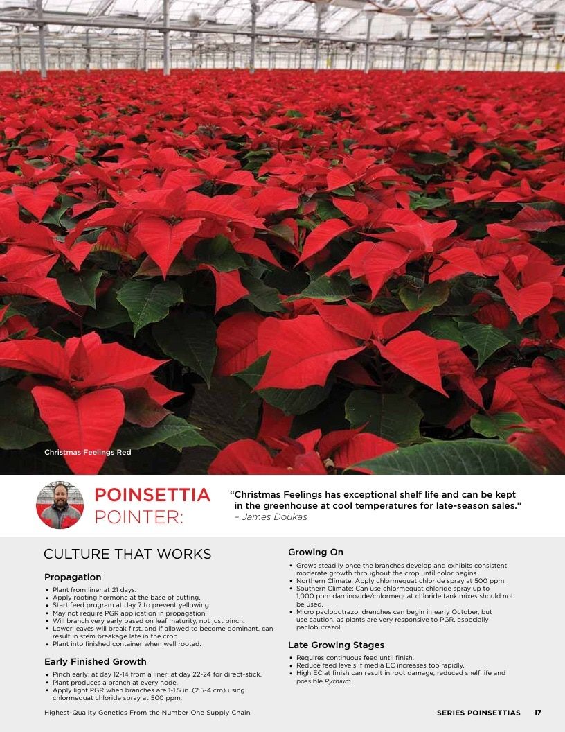 Selecta North America Poinsettia Catalog Weekly Ad January 1 - December 31, 2026