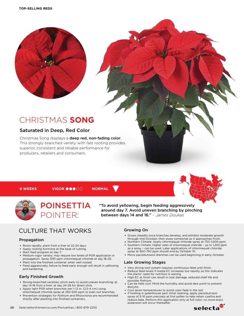 Selecta North America Poinsettia Catalog Weekly Ad January 1 - December 31, 2026